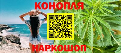 шишки Шелехов