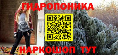 шишки Шелехов