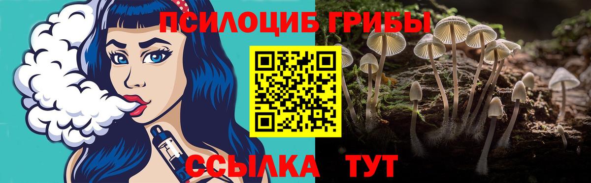 Будённовск  Псилоцибиновые грибы Magic Shrooms  наркотики  Вход с VPN 